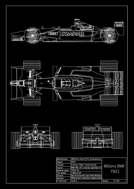 Williams F1 BMW FW23 